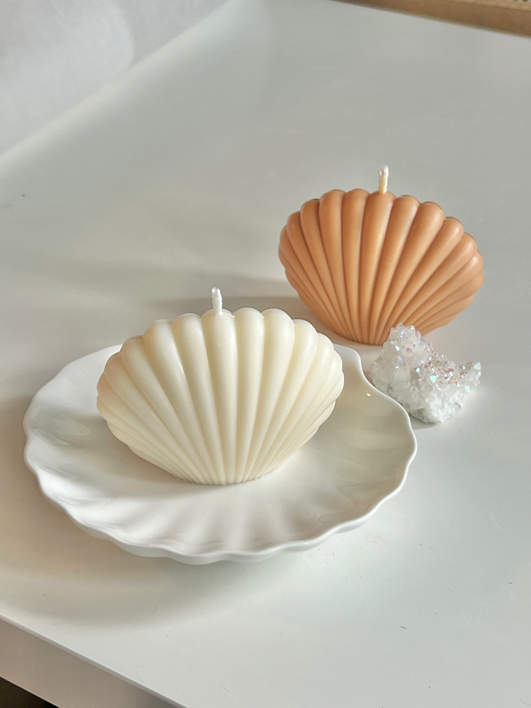 Clam Shell Wax Melts — Jardle Soy Candles